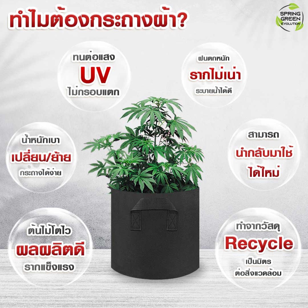 Spring Green Evolution Spring Green Evolution กระถางผ้าปลูกต้นไม้ 15Gallon - บริษัท สปริงกรีนอ ...